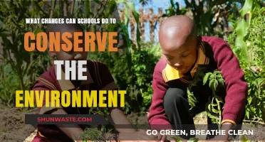 Sustainable Schools: Eco-Friendly Changes to Protect Our Planet