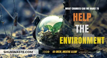 Sustainable Steps: Simple Changes to Protect and Preserve Our Planet
