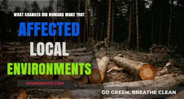 Human Impact: Transforming Local Ecosystems Through Urbanization and Deforestation