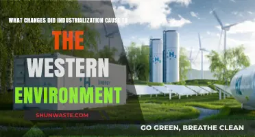 Industrialization's Impact: Transforming the Western Environment and Ecosystems