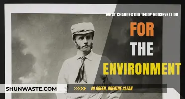 Teddy Roosevelt's Environmental Legacy: Conservation Reforms and Lasting Impact