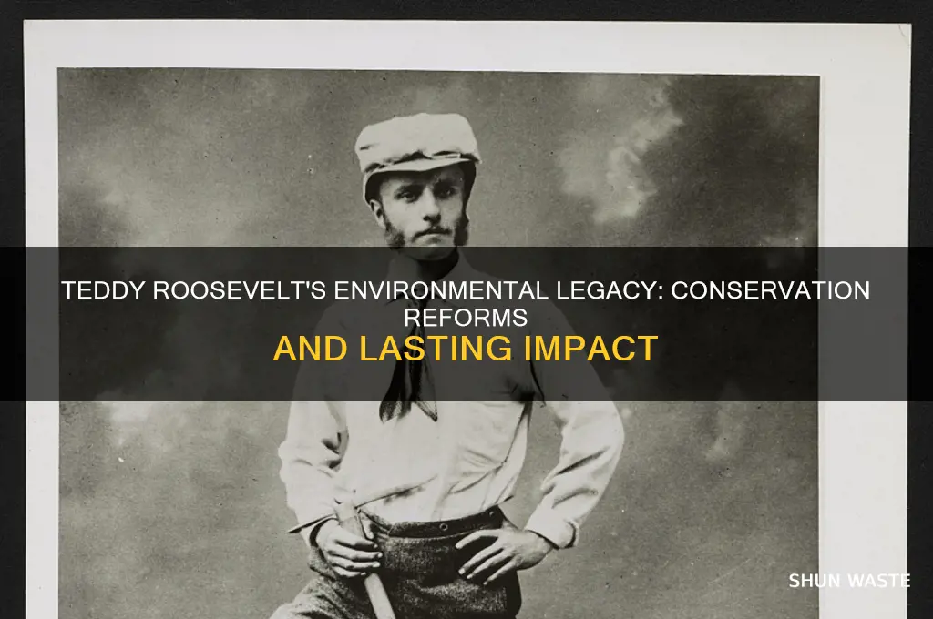 what changes did teddy roosevelt do for the environment