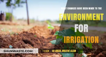 Transforming Irrigation: Key Environmental Changes and Their Impact