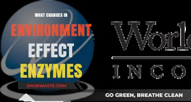 Environmental Factors: How Changes Impact Enzyme Activity and Function