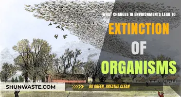 Environmental Shifts: Unraveling the Causes of Organism Extinction