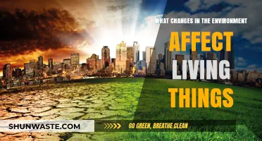 Environmental Shifts: How Changes Impact Life on Earth