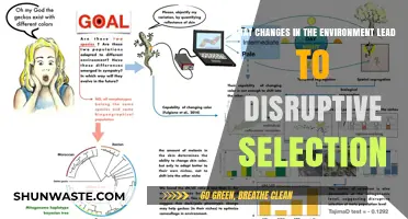 Environmental Shifts Triggering Disruptive Selection: Key Factors and Impacts