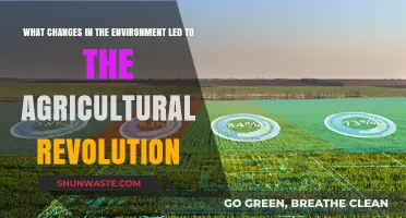 Environmental Shifts Sparking the Agricultural Revolution: Key Factors Explored