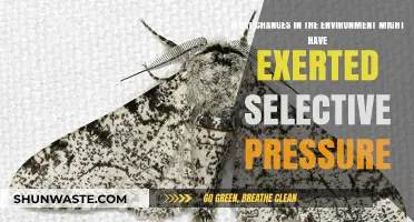 Environmental Shifts: Unraveling Selective Pressures Shaping Life's Evolution