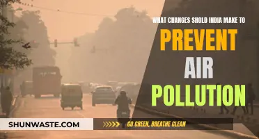 India's Air Pollution: Strategies for a Cleaner Future