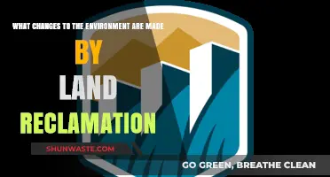 Land Reclamation's Impact: Transforming Ecosystems and Coastal Landscapes