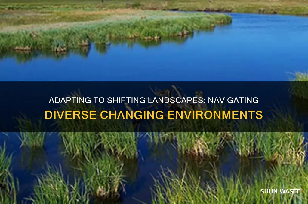 what changing environments did you encounter