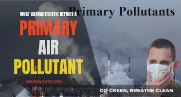 Air Pollutants: Primary Sources, Primary Characteristics