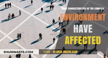 How Complex Environments Shape and Influence Key Characteristics