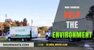 Top Eco-Friendly Charities: Protecting Our Planet Through Generous Giving