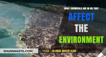 Environmental Impact: Uncovering Oil's Harmful Chemicals and Their Effects