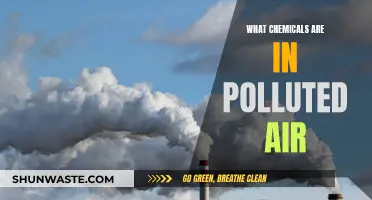 Air Pollution: Toxic Chemicals in the Air