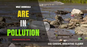 Air Pollution: Harmful Chemicals Revealed