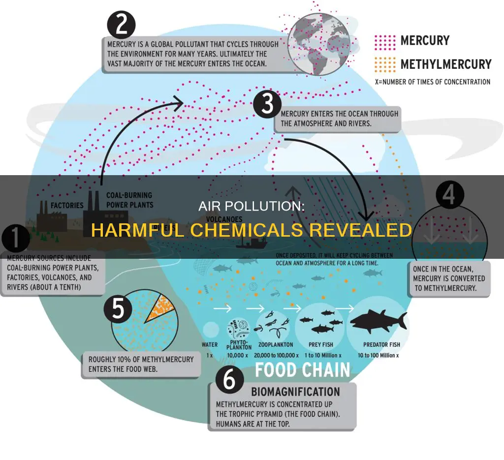 what chemicals are in pollution