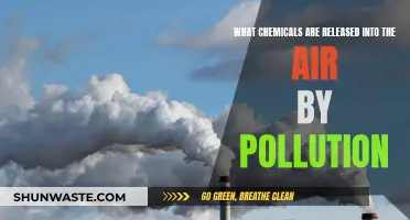 Air Pollution: Understanding the Chemical Culprits