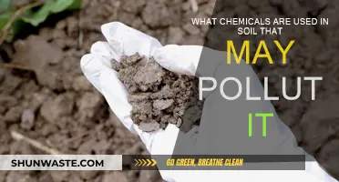 Soil Pollution: Toxic Chemicals in the Earth