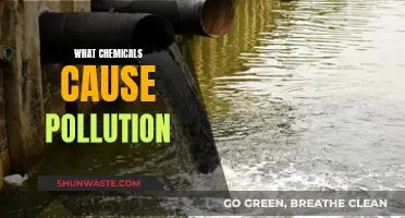 Unveiling the Hidden Chemicals: Sources of Environmental Pollution