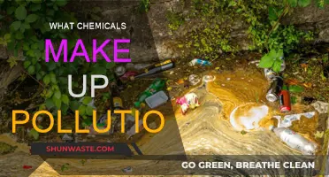 Chemicals in Pollution: Understanding the Toxic Mix