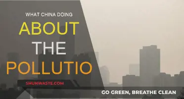 China's Pollution: Strategies and Solutions