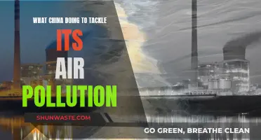 China's War on Air Pollution