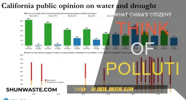 China's Pollution: What Do Locals Think?
