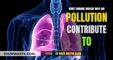 Air Pollution: Chronic Disease Risk Factors