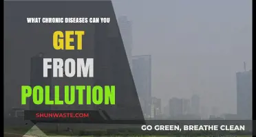 Unveiling the Hidden Dangers: Pollution's Impact on Chronic Illnesses