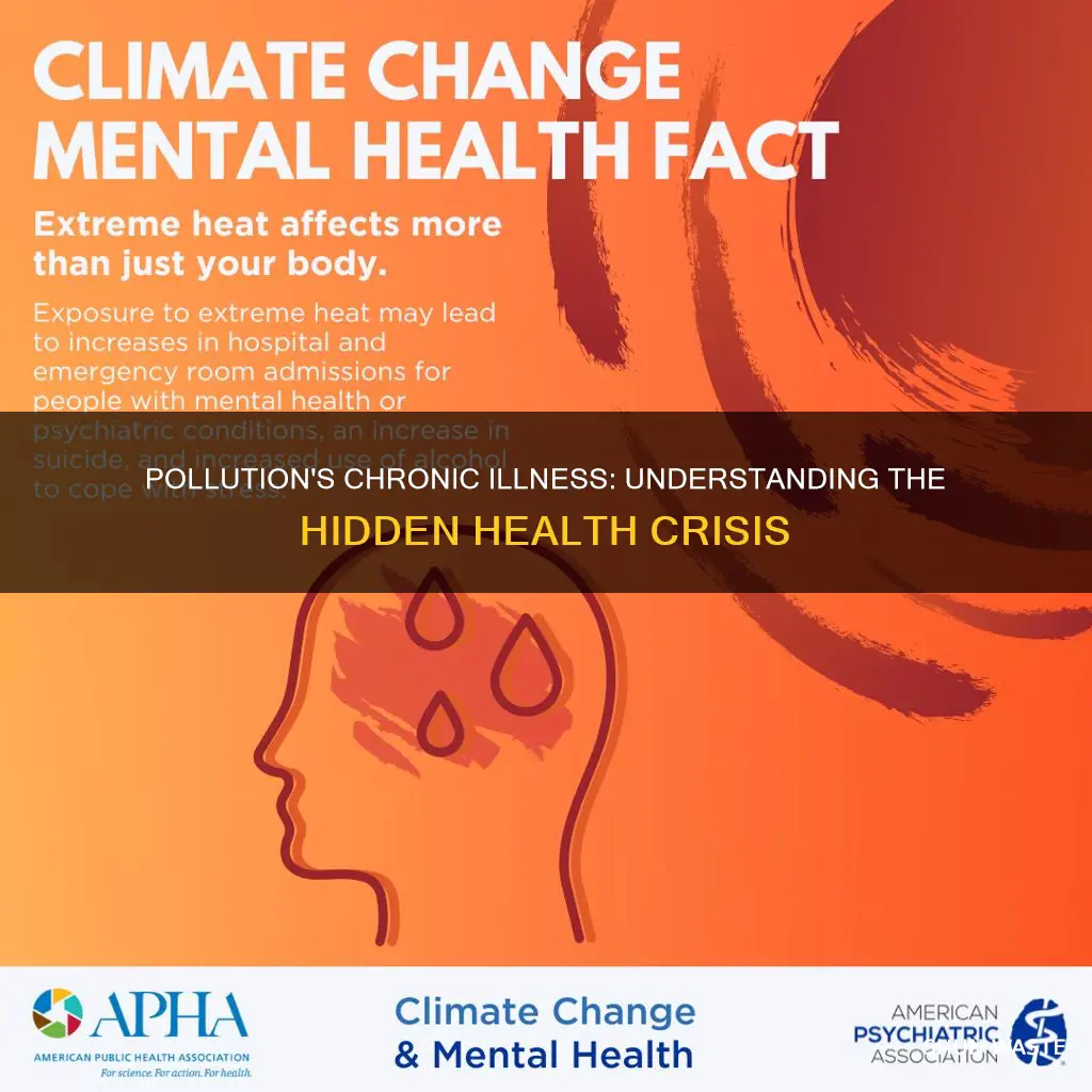 what chronic diseases can you get from pollution
