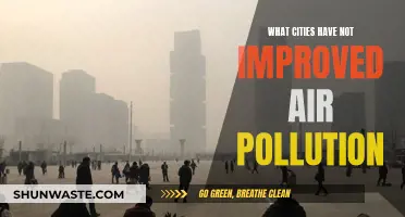 Air Pollution: Cities Failing to Breathe Easy