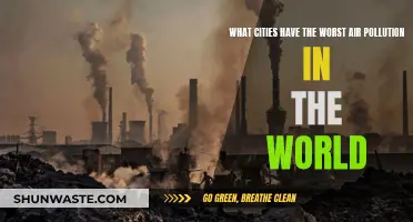 Air Pollution's Worst Offenders: Cities Ranked