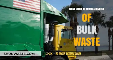 Florida's Bulk Waste Disposal: A City-by-City Guide