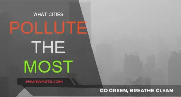 Which Cities Pollute Our Planet the Most?