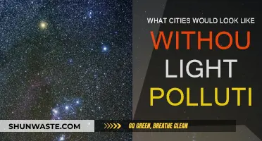 Urban Night Skies: A World Without Light Pollution