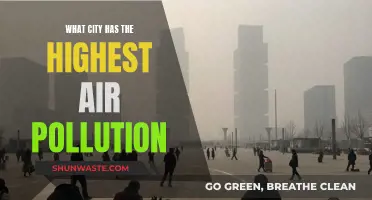 Air Pollution: Which City Suffers the Most?