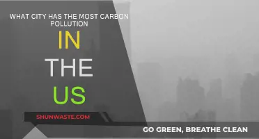Which US City is the Most Carbon Polluted?