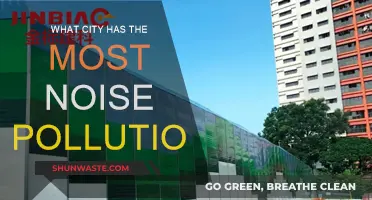 Noise Pollution Capitals: Which City is the Loudest?