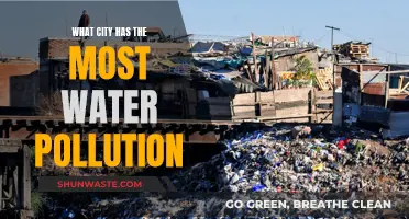 The World's Most Polluted Waterways: A Shocking Look at Urban Contamination