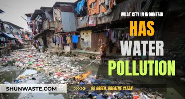 Indonesia's Water Crisis: Unveiling the City's Hidden Pollution