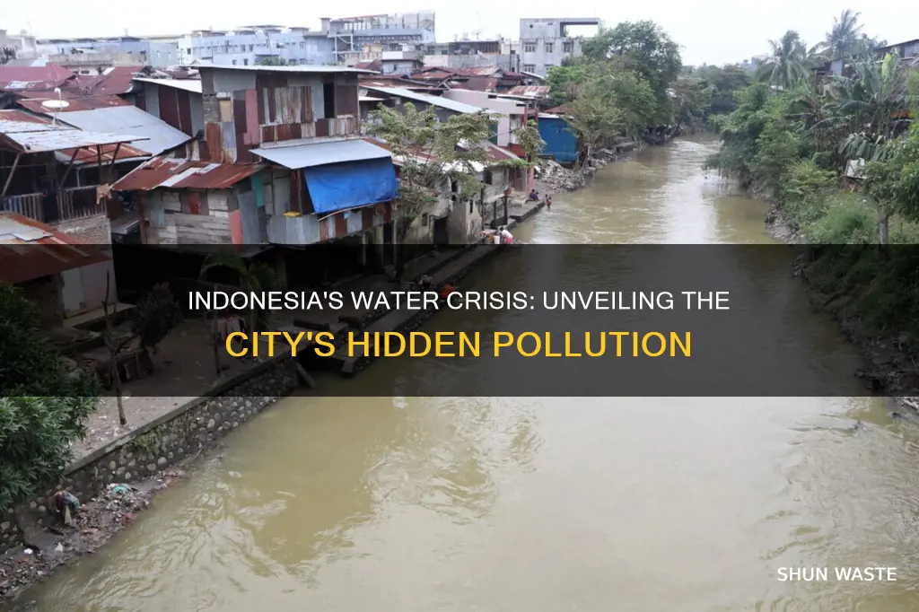 what city in indonesia has water pollution