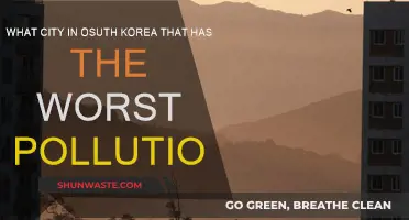 South Korea's Most Polluted City: A Troubling Reality