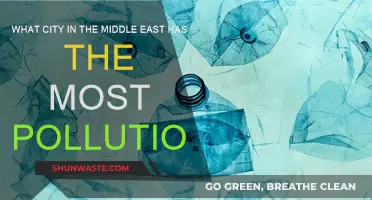 Middle East Pollution: Which City Suffers the Most?