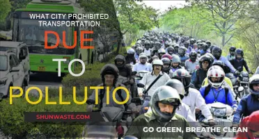 Transport Ban: City Fights Pollution