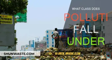 Understanding Pollution: Classifying Environmental Hazards
