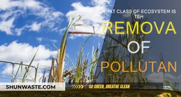 The Green Cleanse: Purifying Nature's Balance