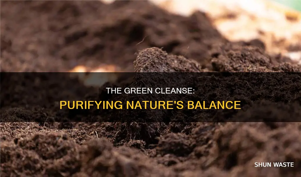 what class of ecosystem is teh removal of pollutants